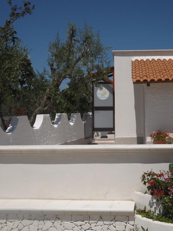 Il Giunco B&B Vieste Exterior foto
